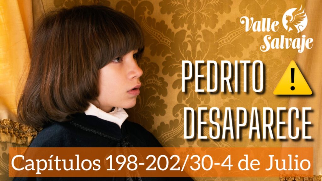 Pedrito desaparece